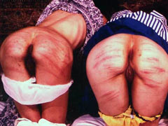 Daily routine work of submissive wife