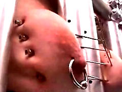 Hanging by the hooks in the labia