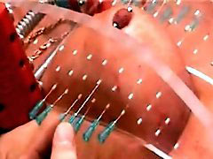 The Master stuck a dozen needles in the labia of the spread pussy, and then cut off the clit